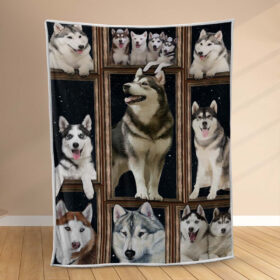 Plaid Husky mignon 1001 Couverture Polaire Plaid Canapé