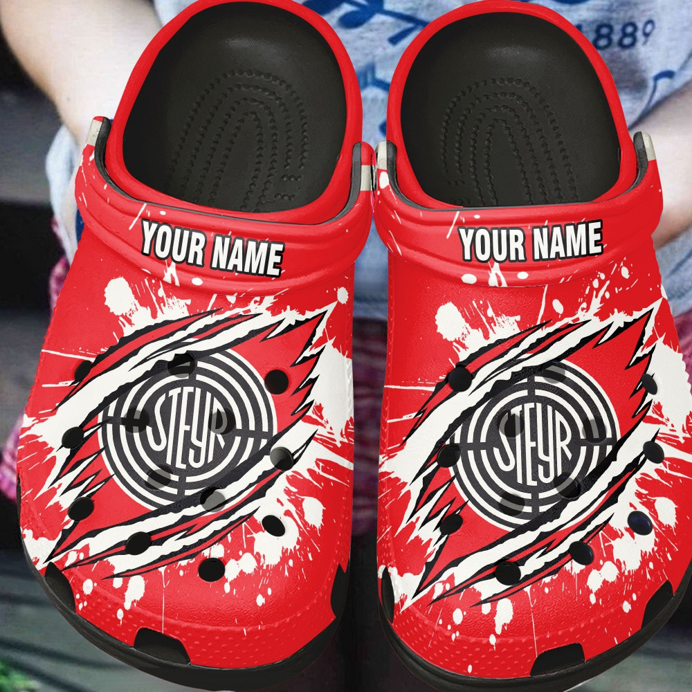 Sabots Steyr – Image 2