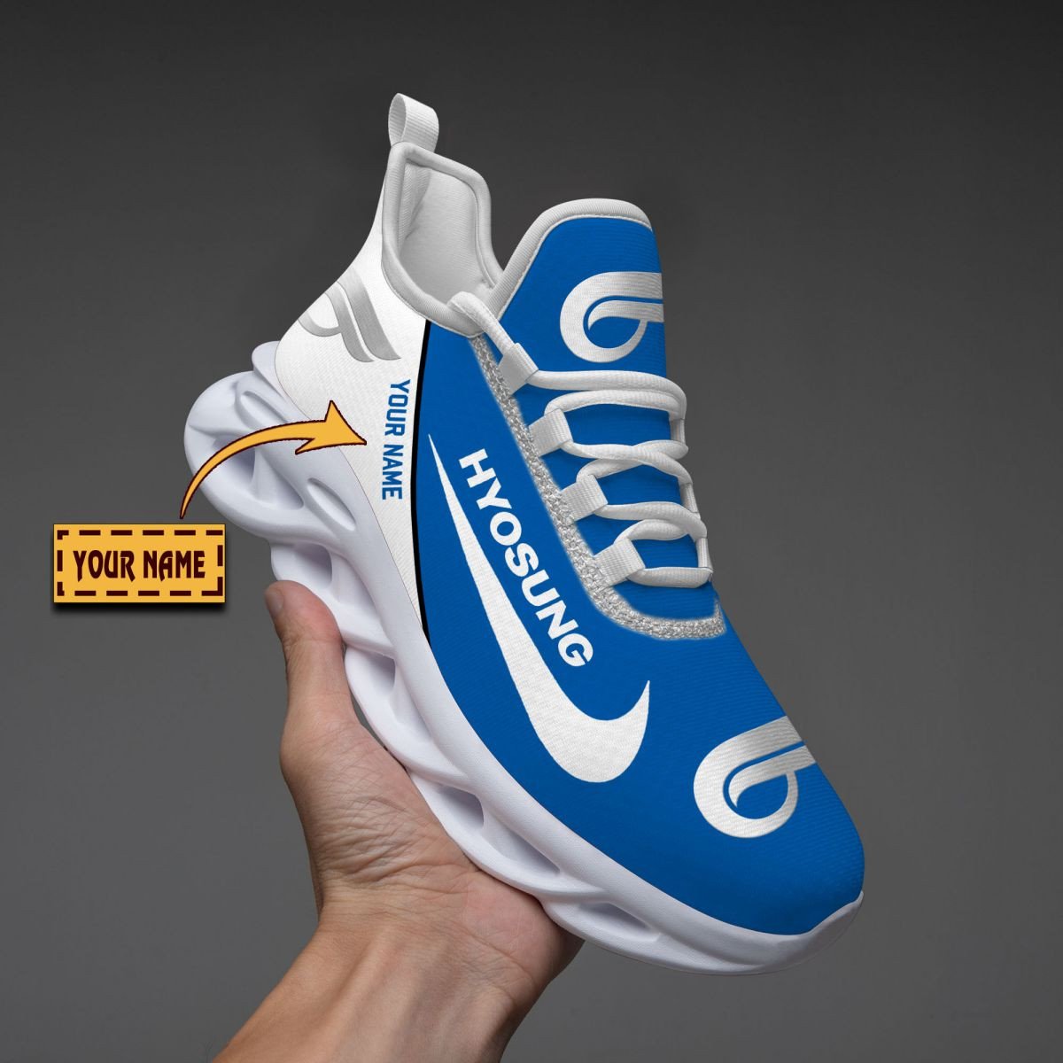 Chaussures Hyosung Motorcyles